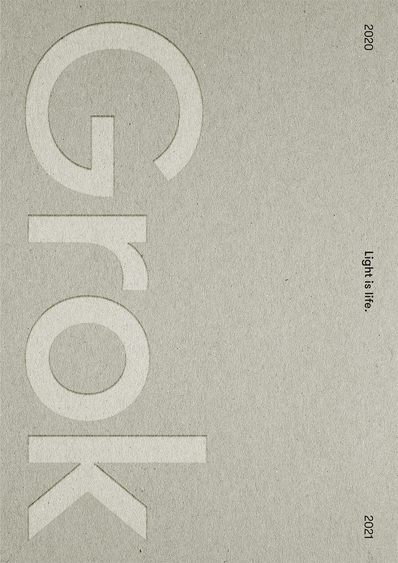 Grok 2020
